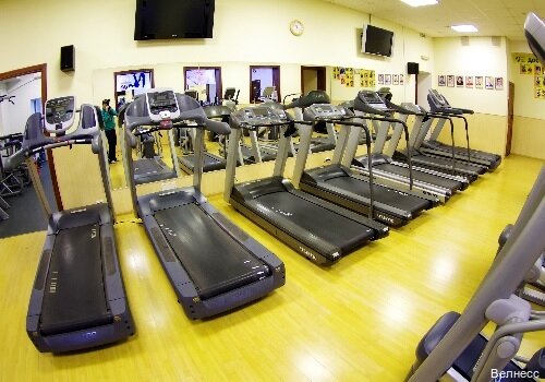 Гостиница Велнесс в Туле