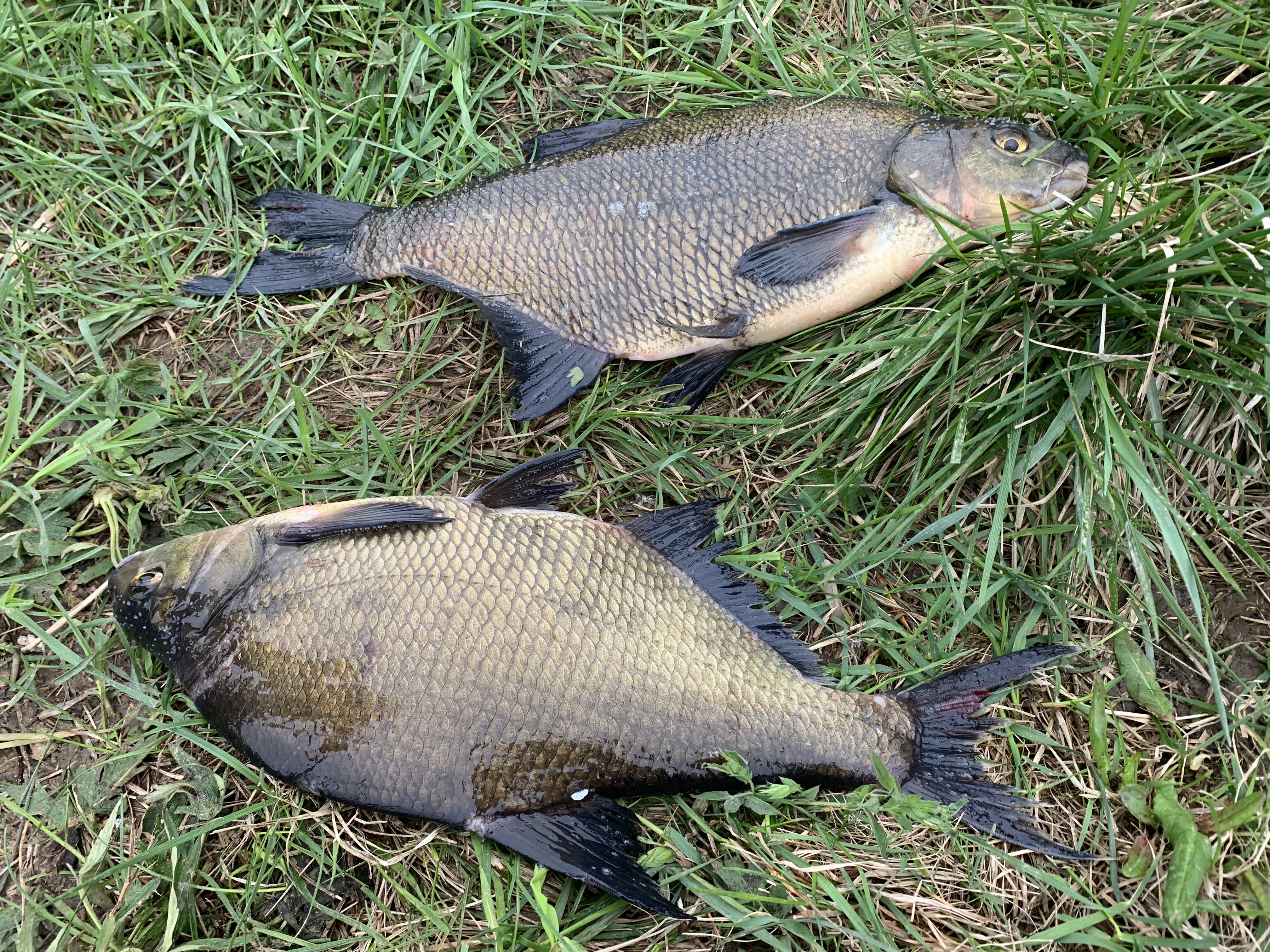 Фото Рыбная Слобода