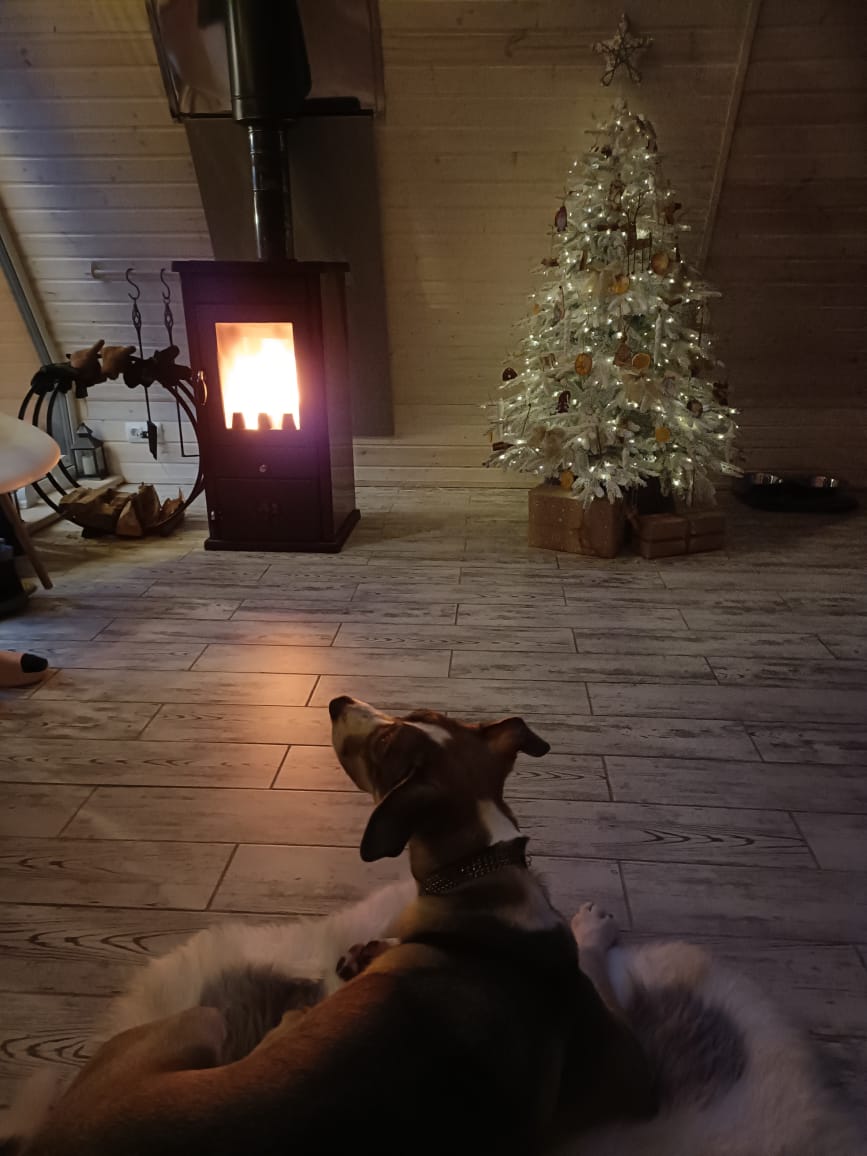 Фото Избушки на опушке