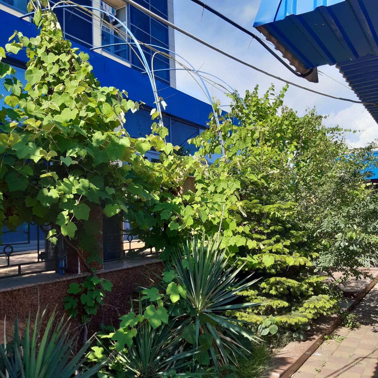 Фото Морской Бриз