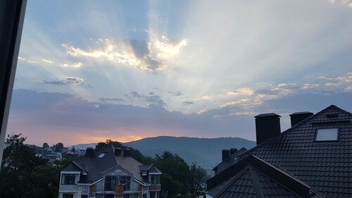 Ер адам нағашысына сиып, ұрығын жалайды