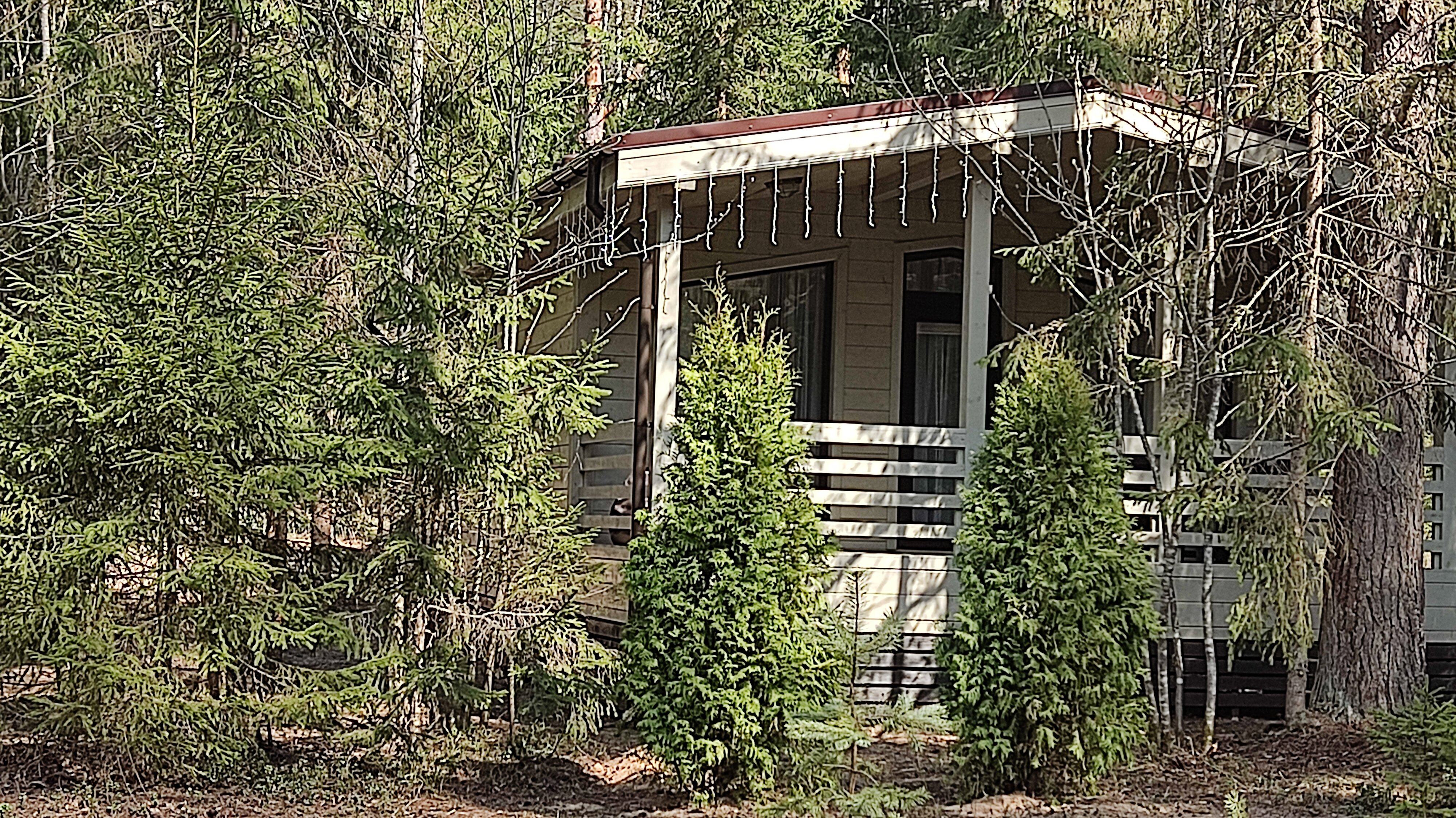 Фото Коттеджи в сосновом бору