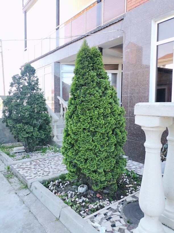 Фото Well Hotel&Spa