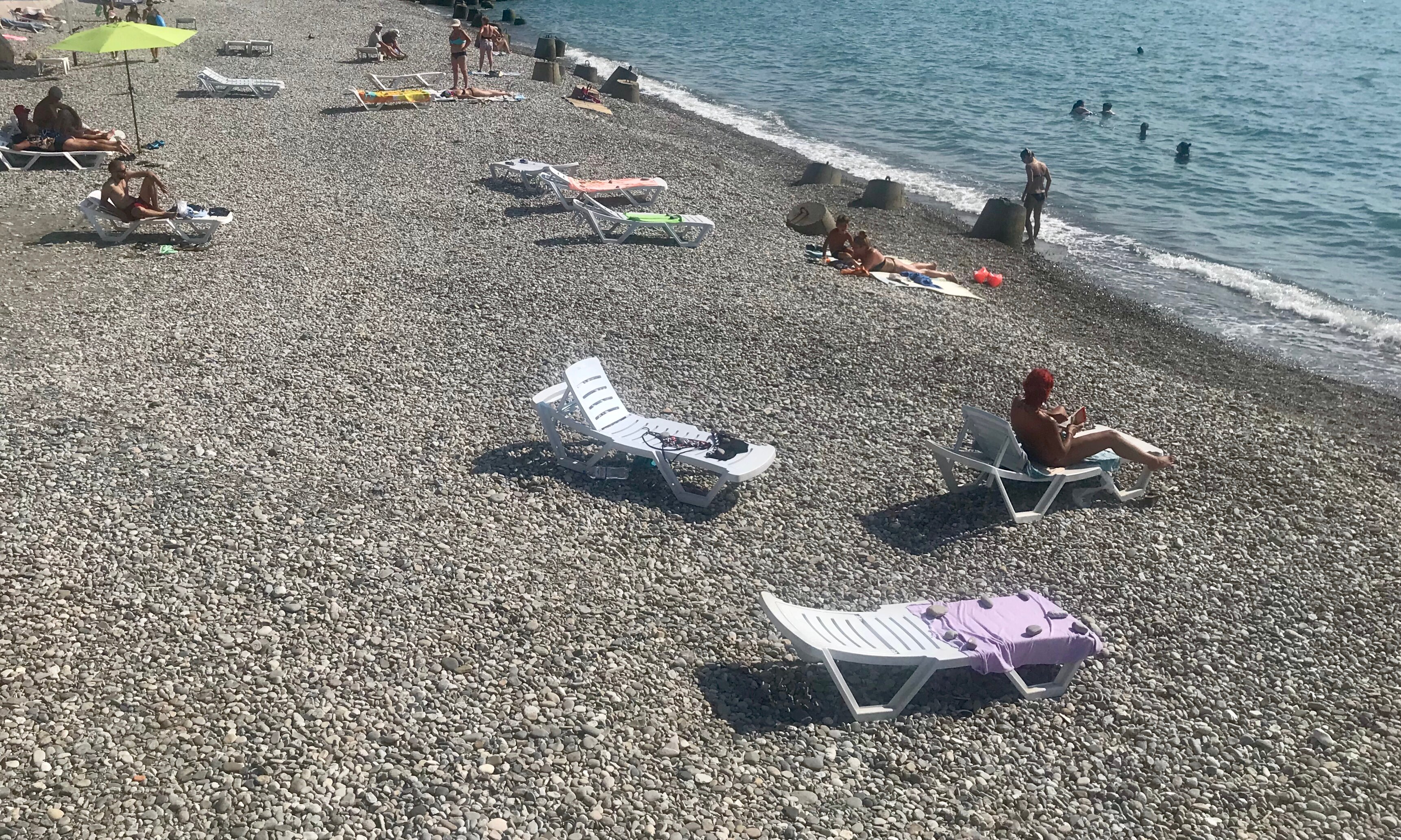 Фото Резеда