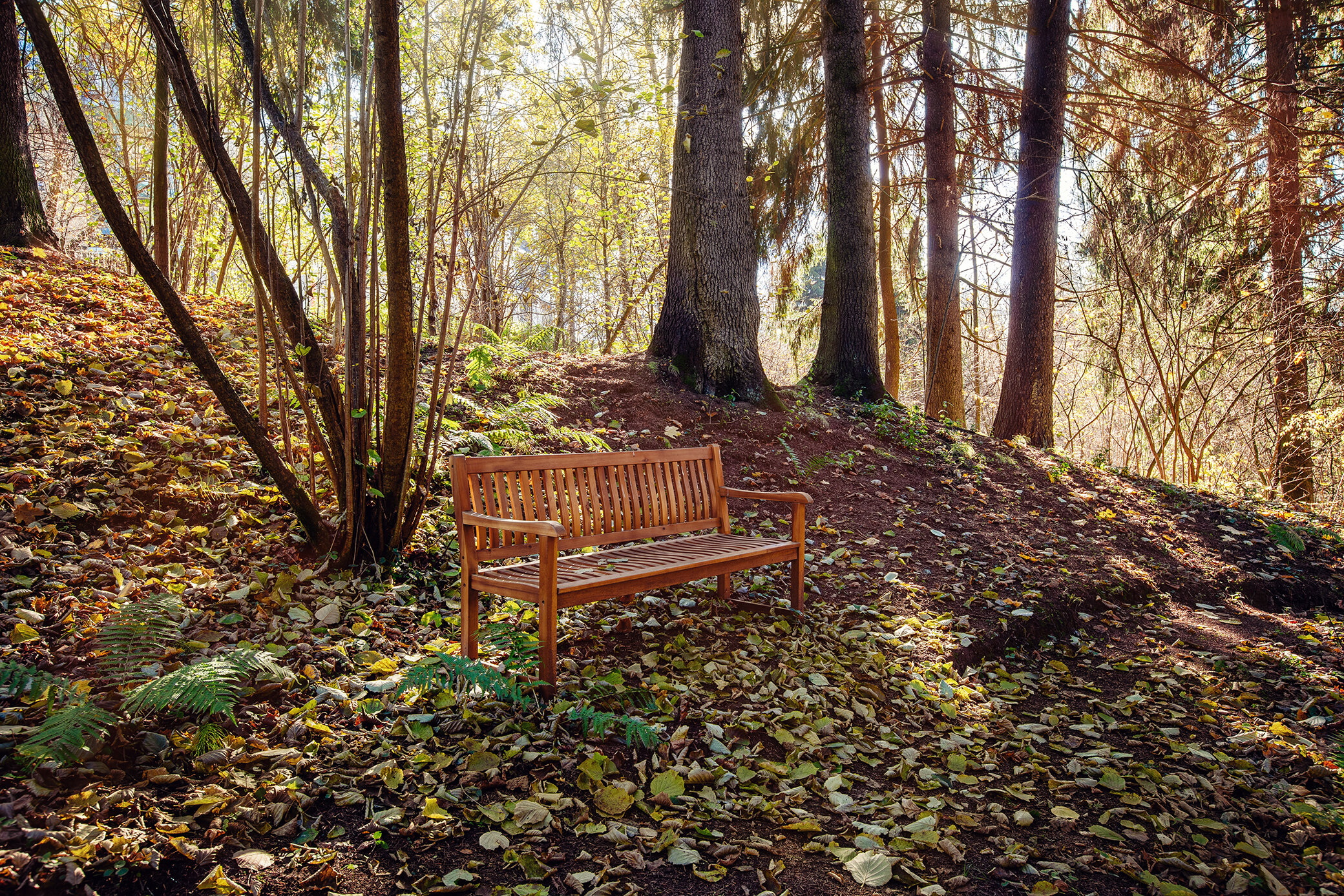 Фото Свежий ветер