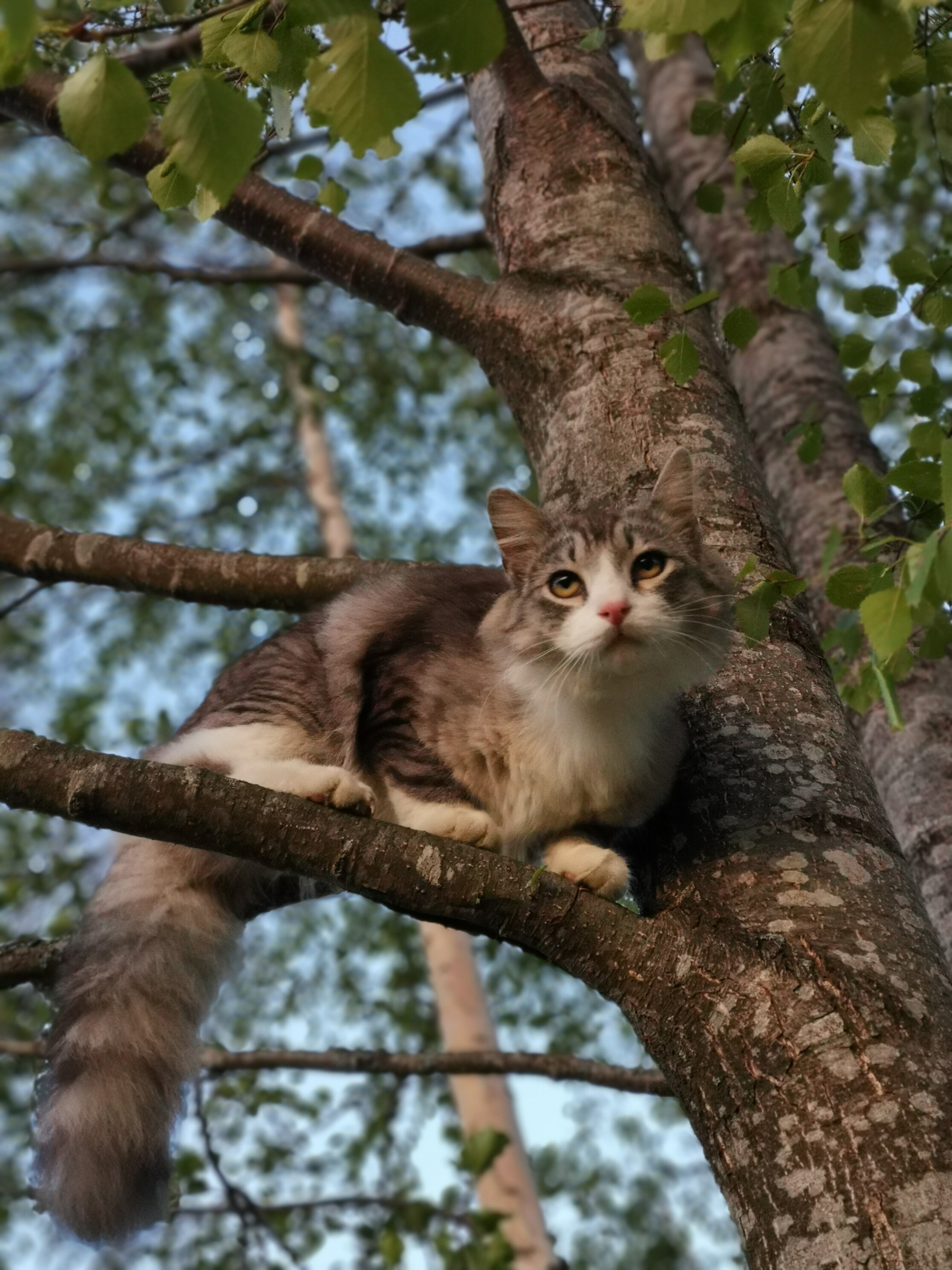 Фото База на Ладоге