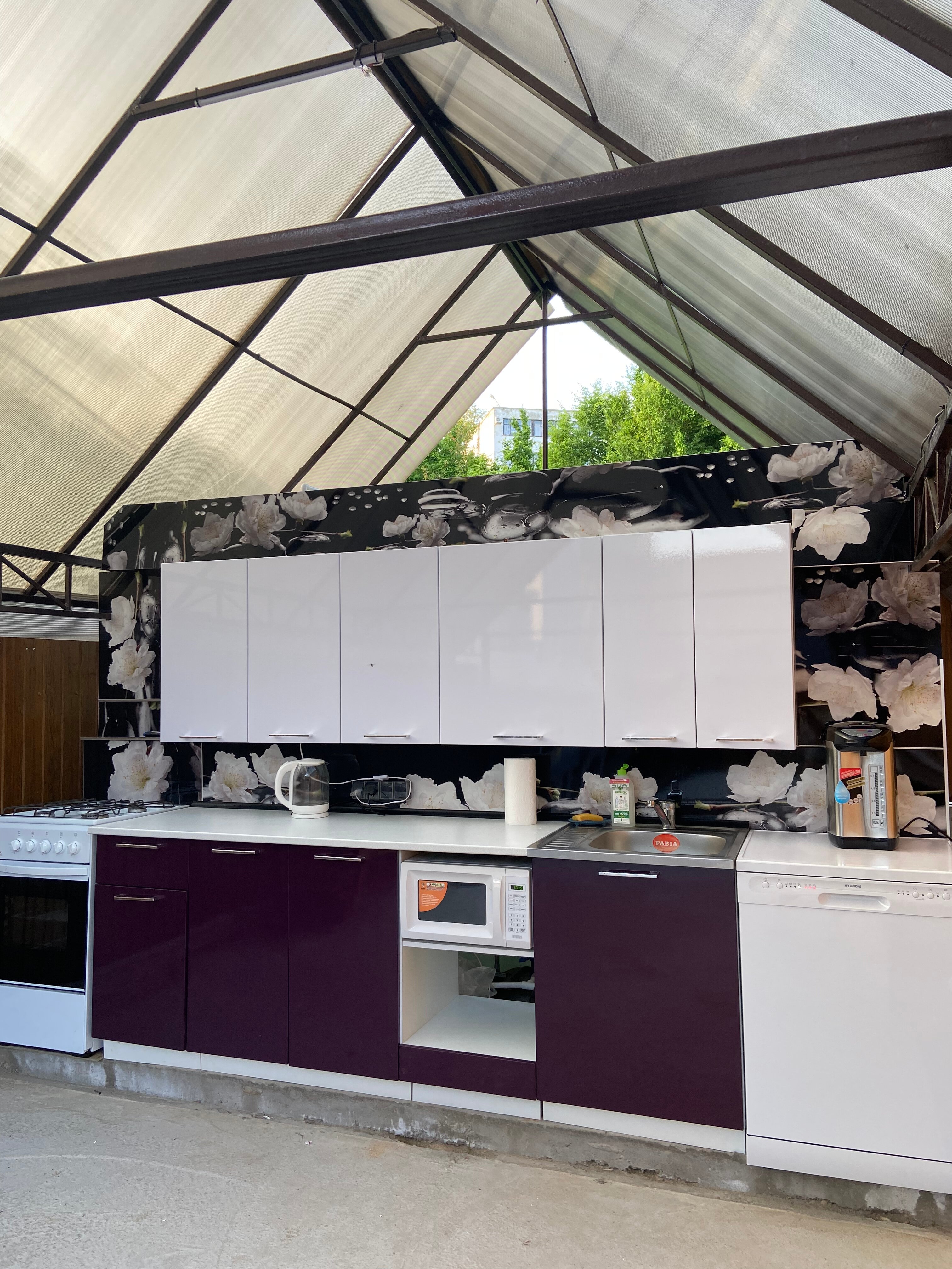 Фото Дельфин