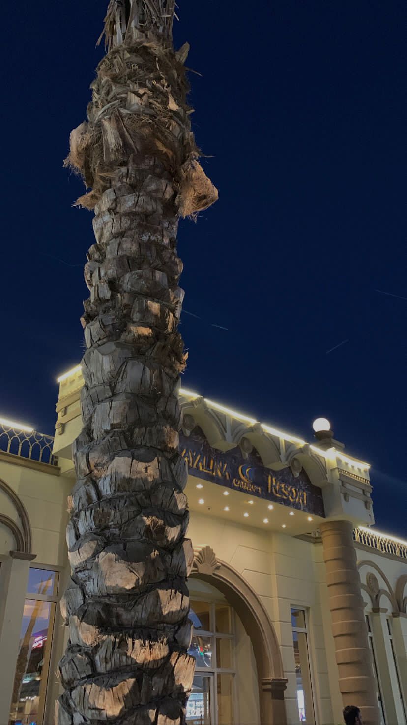 Фото Naama Bay Promenade Beach Resort