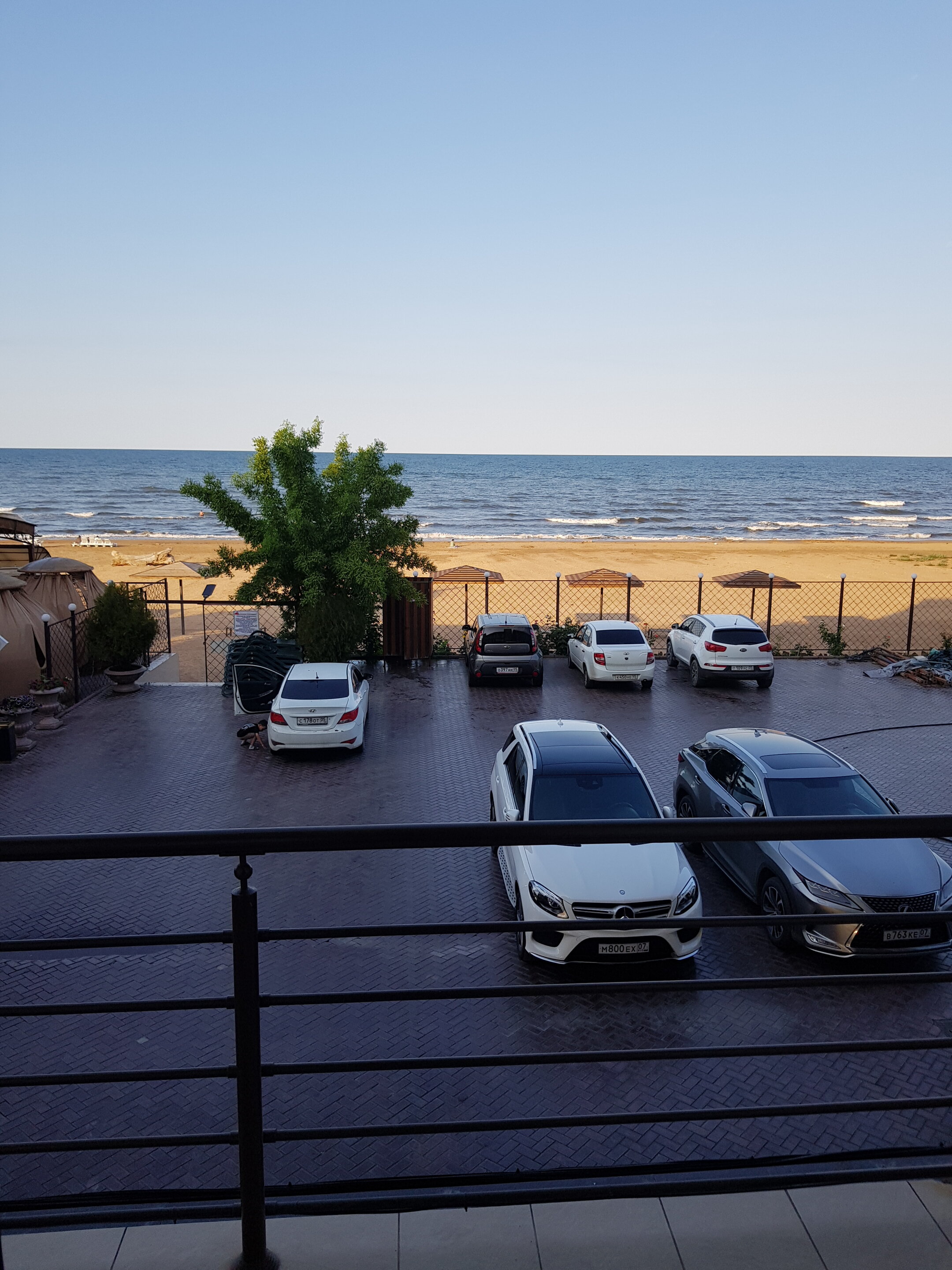 Фото Алые Паруса