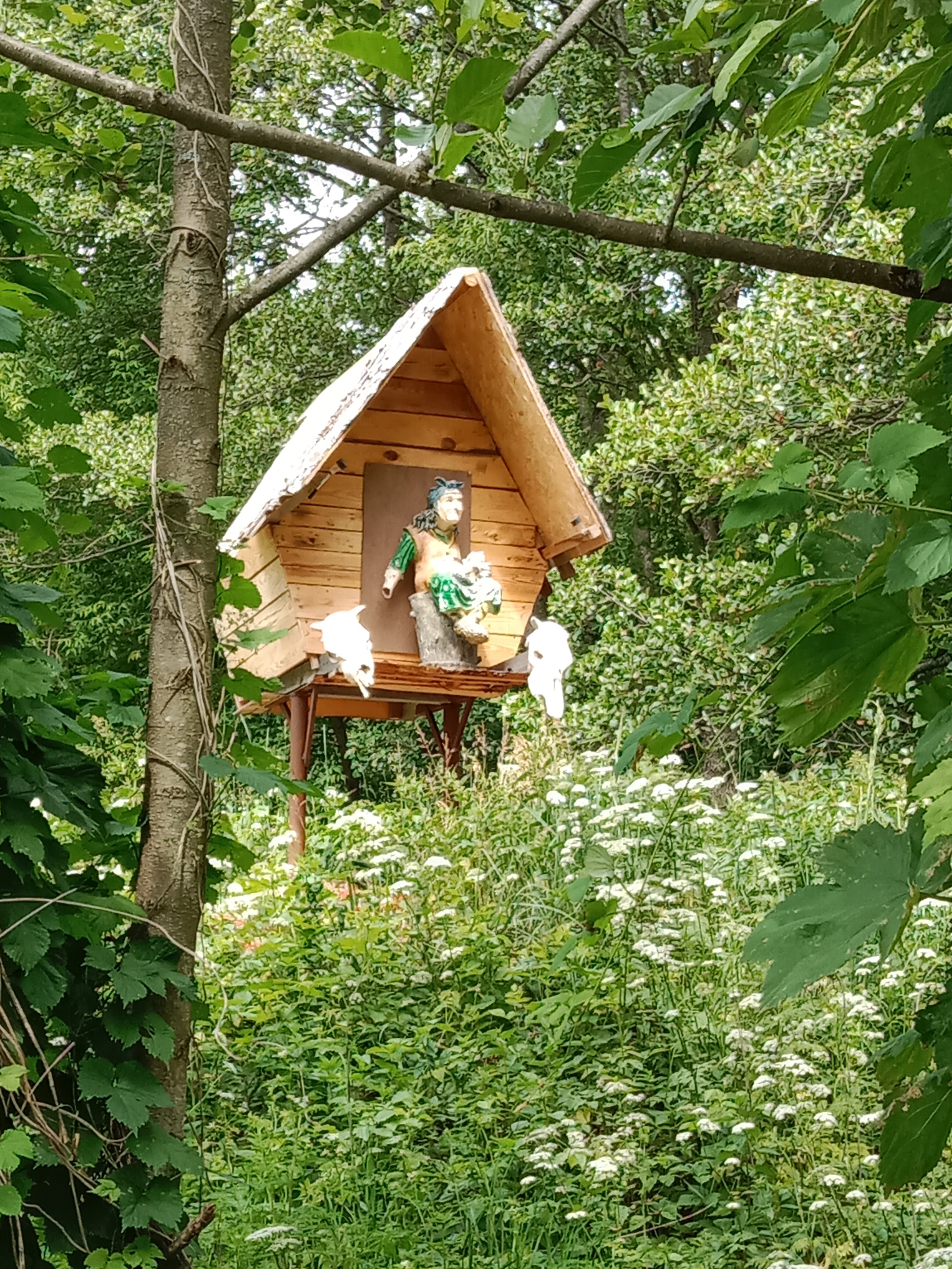 Фото Залесье