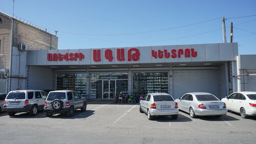 Household goods and chemicals shop Agat, Vagharshapat, photo