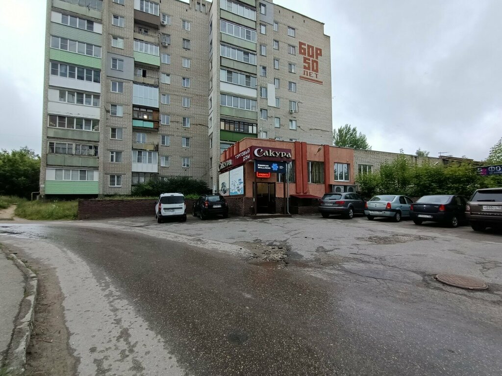Health products Siberian Wellness, Bor, photo