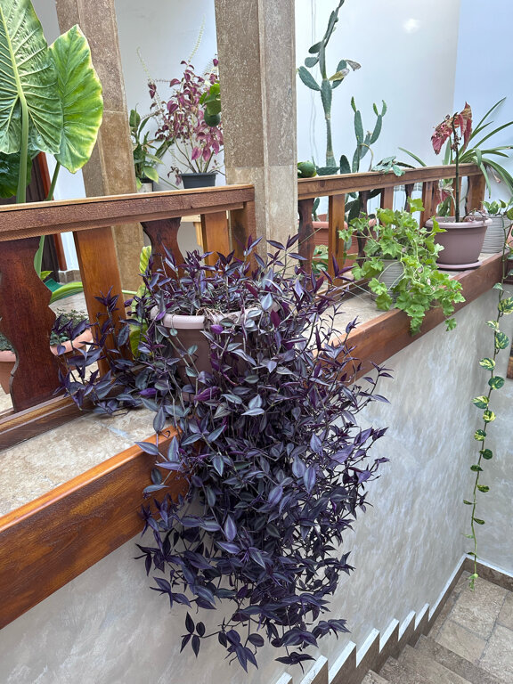 Фото Yerevan hotel