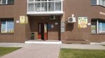 Активики (ulitsa Mayakovskogo, 4/1), organization of events