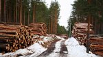 Kubovich Les (selo Yeganovo, Avtodorozhnaya ulitsa, 1А), productos madereros