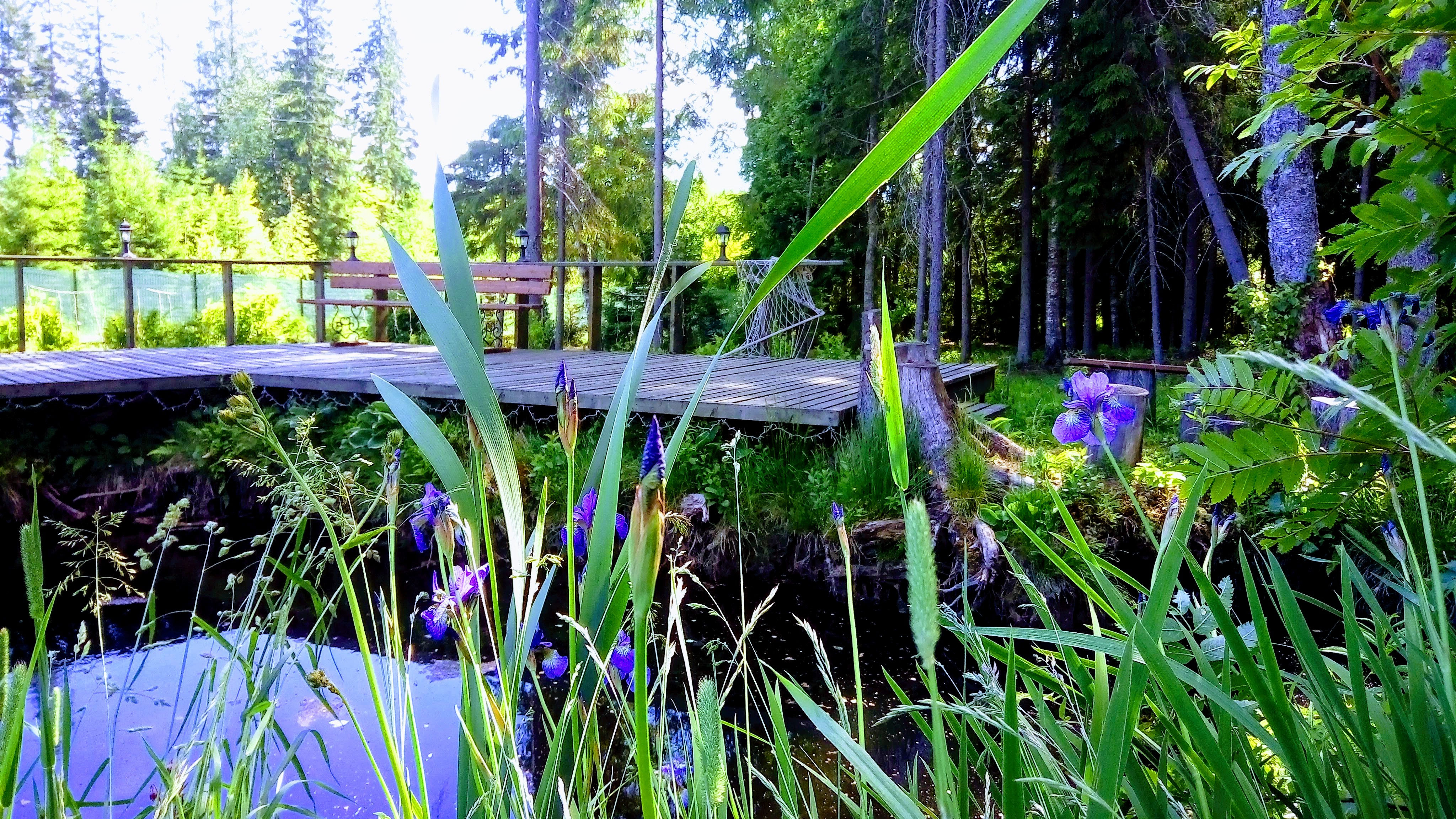 Фото Дивное СамоцветЬе