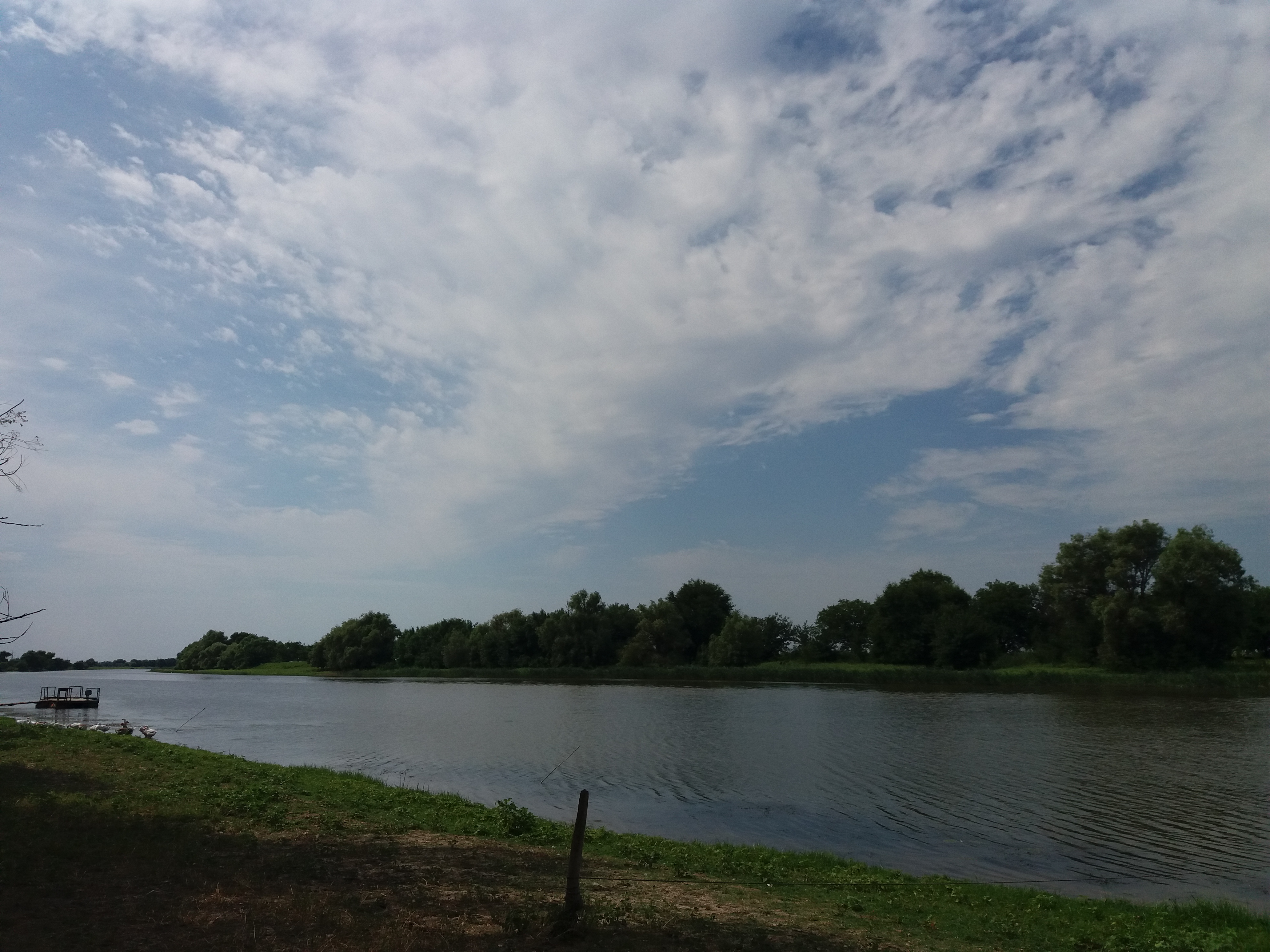 Фото Уваринка