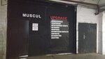 Muscul Upgrade (2nd Magistralnaya Street, 10с1), auto acoustics