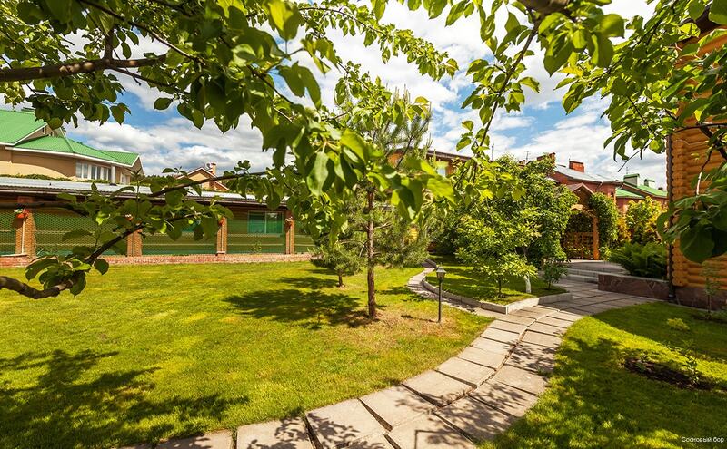 Фото Сосновый бор