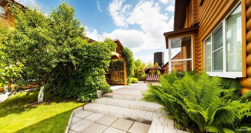 Фото Сосновый бор