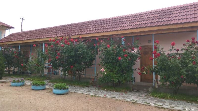 Фото Айвилла