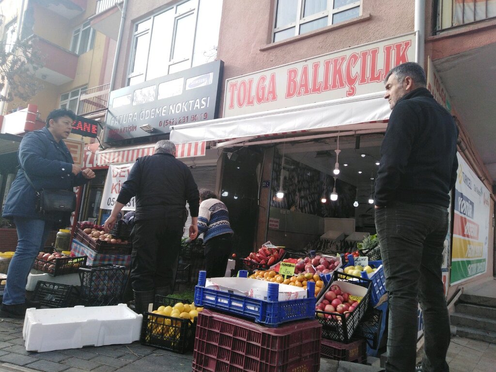 tolga balik pisirme evi restoran esentepe mah ragip tuzun cad no 333 a yenimahalle ankara turkiye yandex haritalar