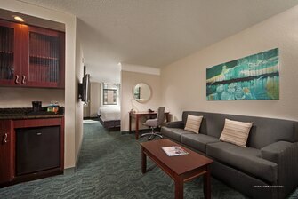 Фото Springhill Suites Marriott Baltimore Downtown/Inner Harbor