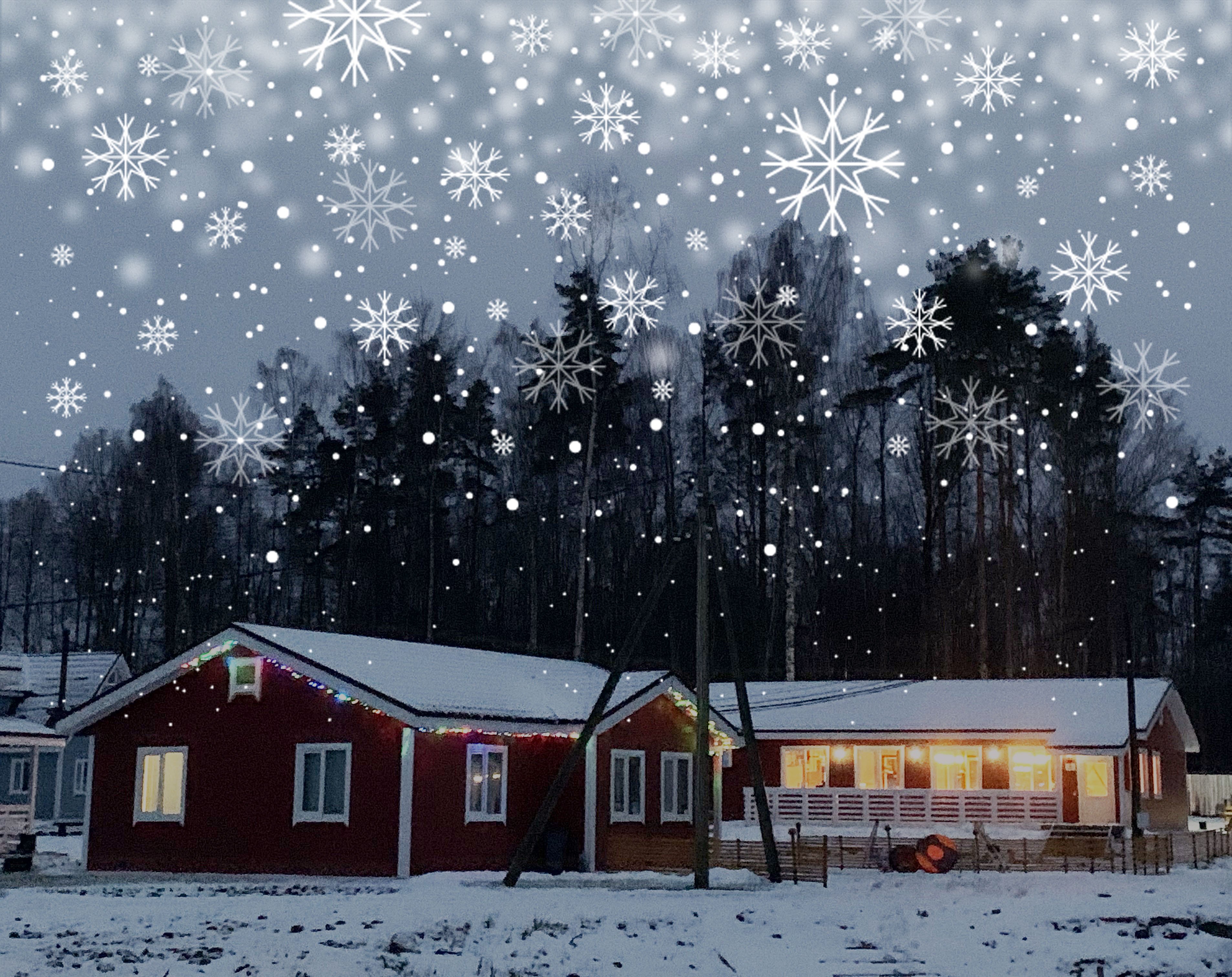 Фото Рыбная Слобода