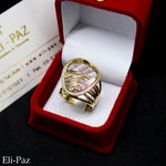 Eli Paz (Allenby Street, 35), jewelry store