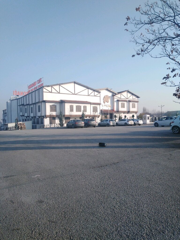 Banquet hall Ankara Konağı, Yenimahalle, photo