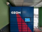 Ozon (Stanislavskogo Street, 28/1), parcel automat