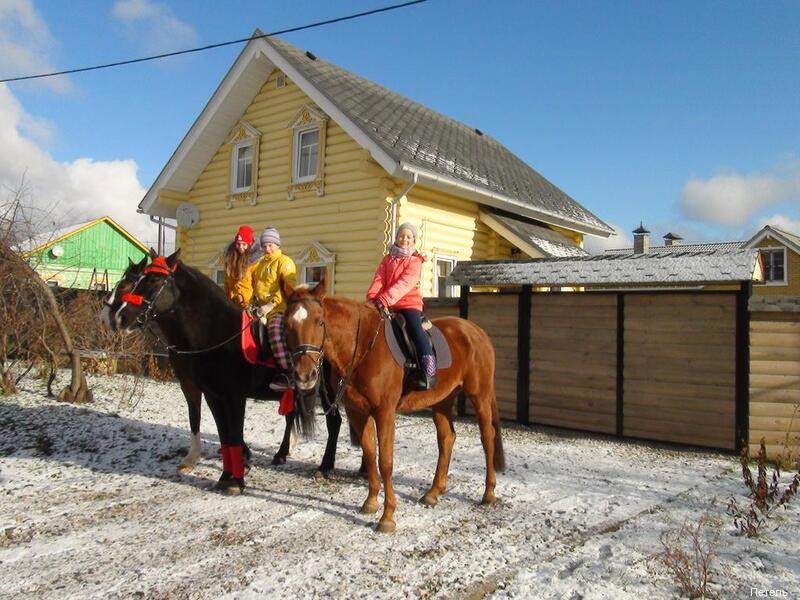 Фото Петель