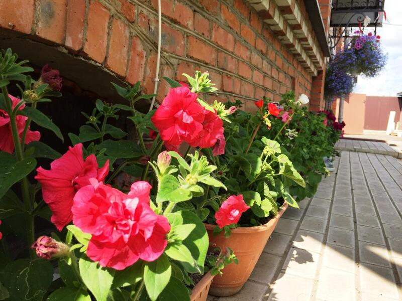 Фото Ваш Суздаль