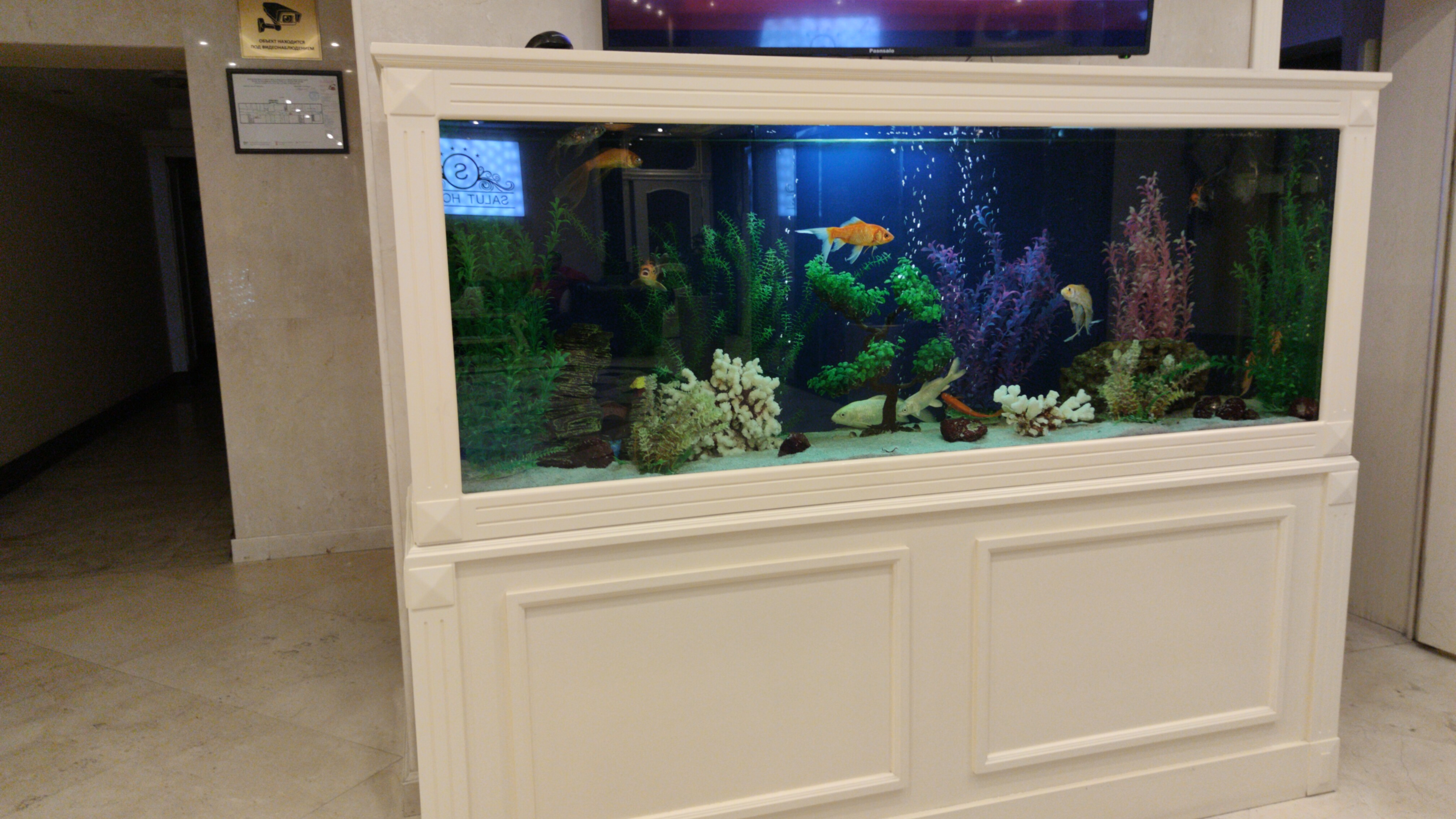 Фото Salut Hotel