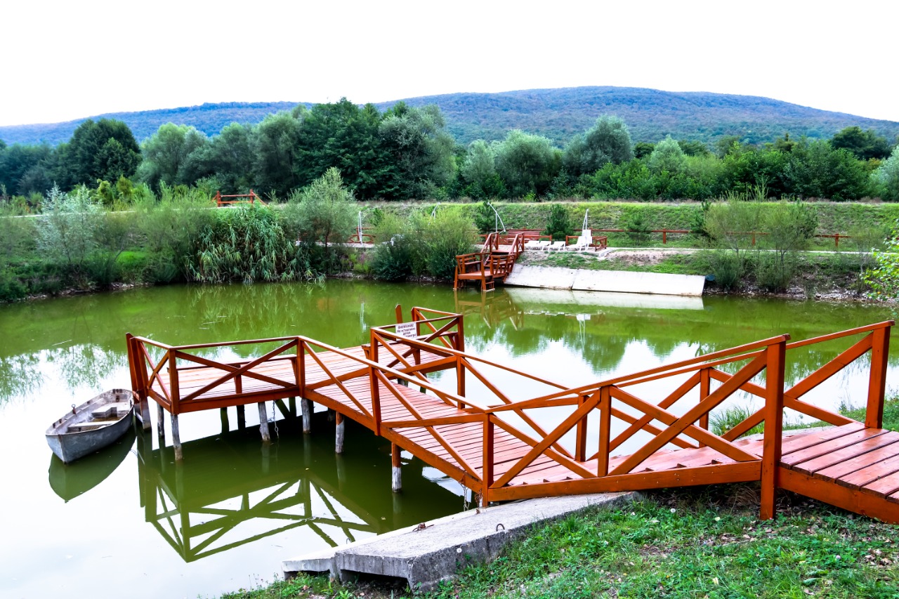 Фото Светлячок