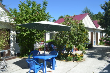 Фото Кипарис