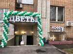 Brassica coffee (Mosfilmovskaya Street, 11к1), floristeria