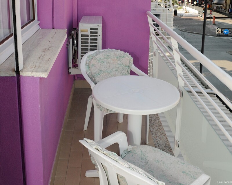 Фото Hotel Fortuna