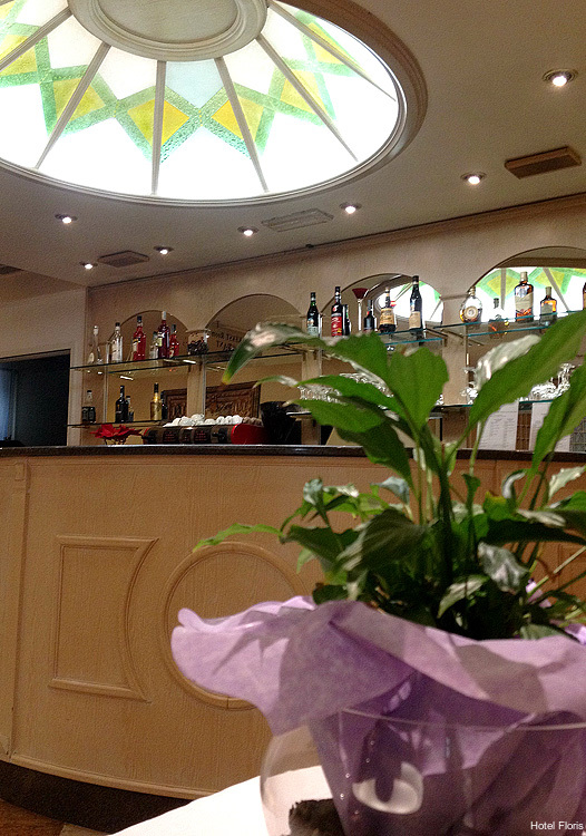 Фото Hotel Floris