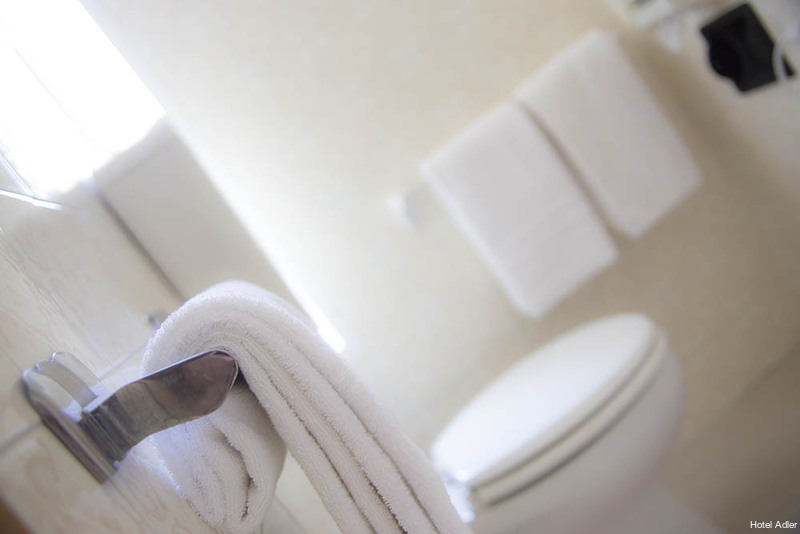 Фото Hotel Adler