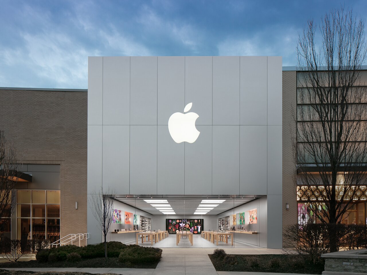 apple electronic store