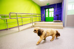 VetPoint (Klary Tsetkin Street, 3с2) ، عيادة بيطرية