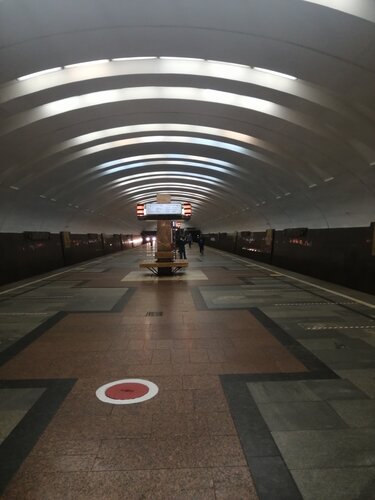 Тонировка авто метро кантемировская
