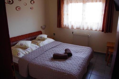 Фото Halász Airport Panzio