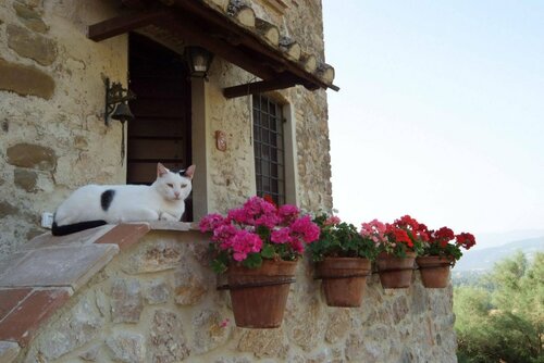 Гостиница Agriturismo Goccia di Luna