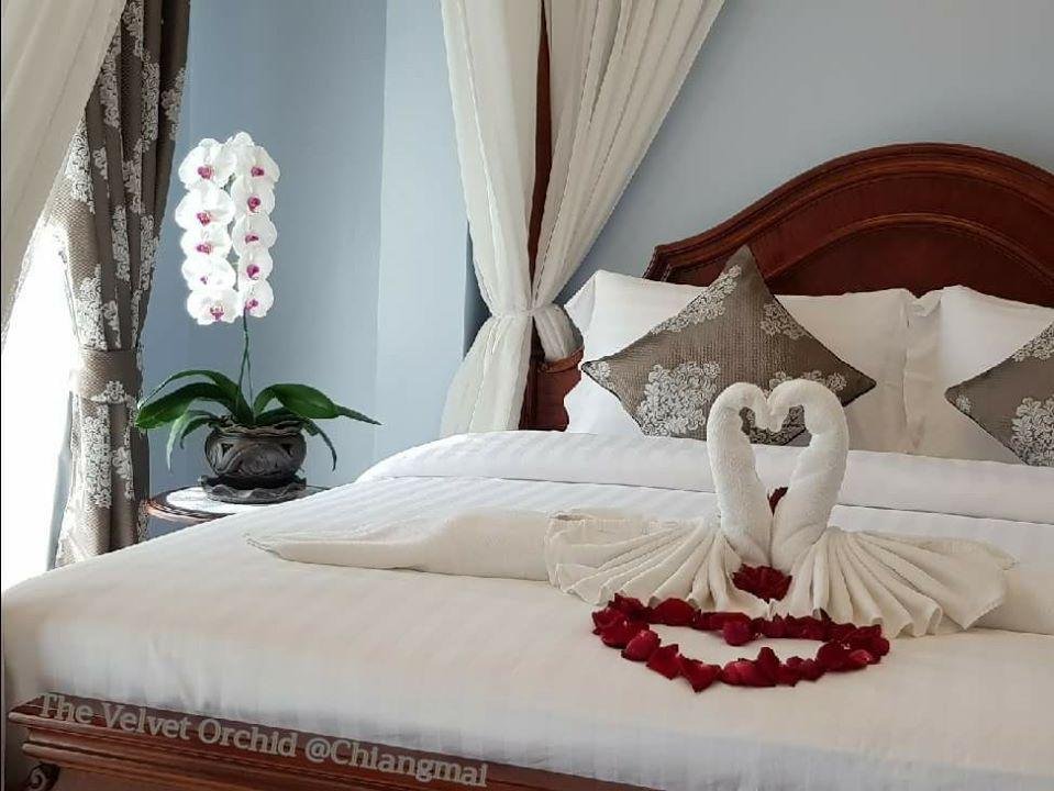 Фото The Velvet Orchid