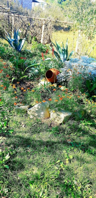 Фото Four seasons in Kutaisi