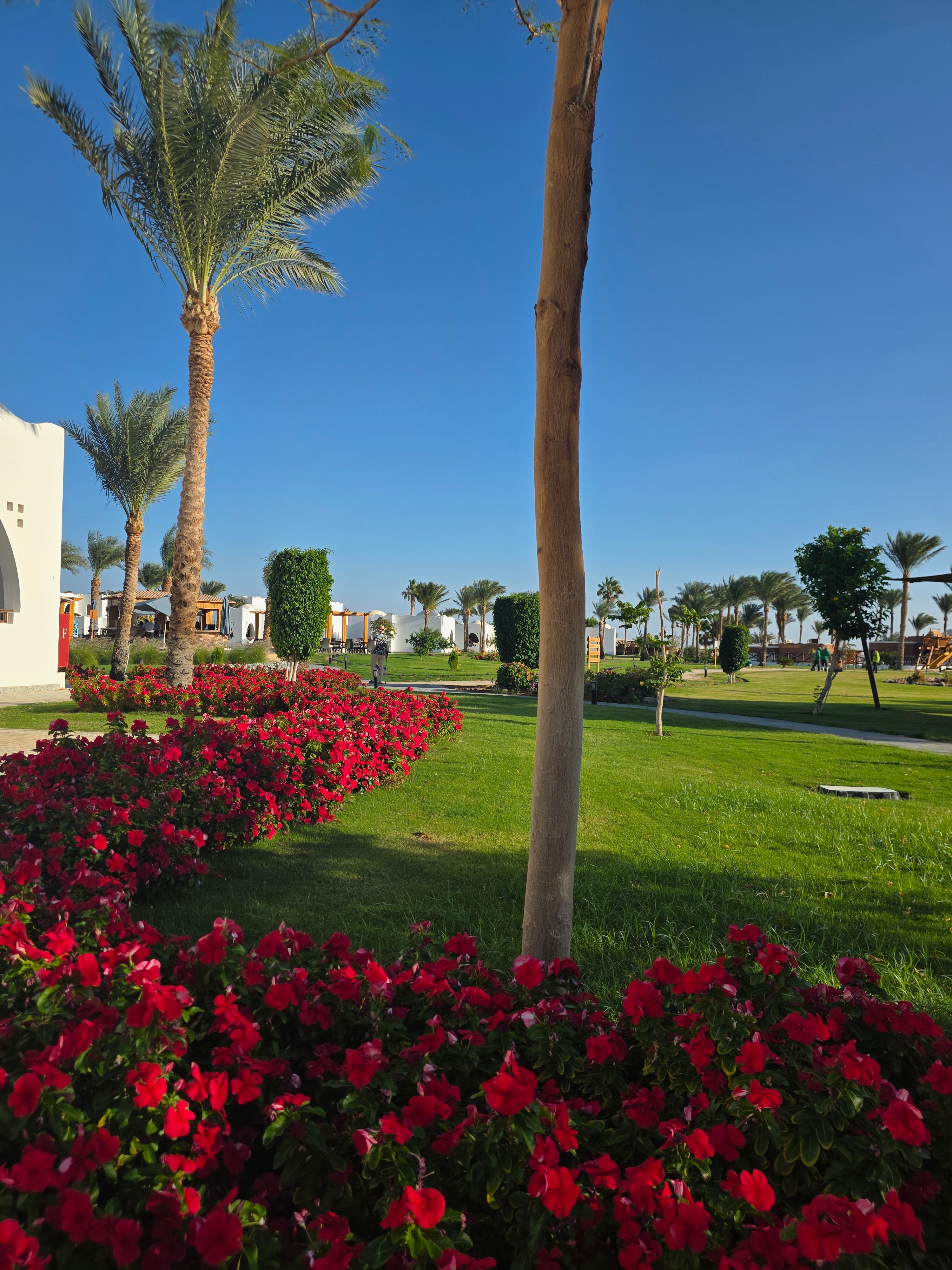 Фото Safir Dahab Egypt