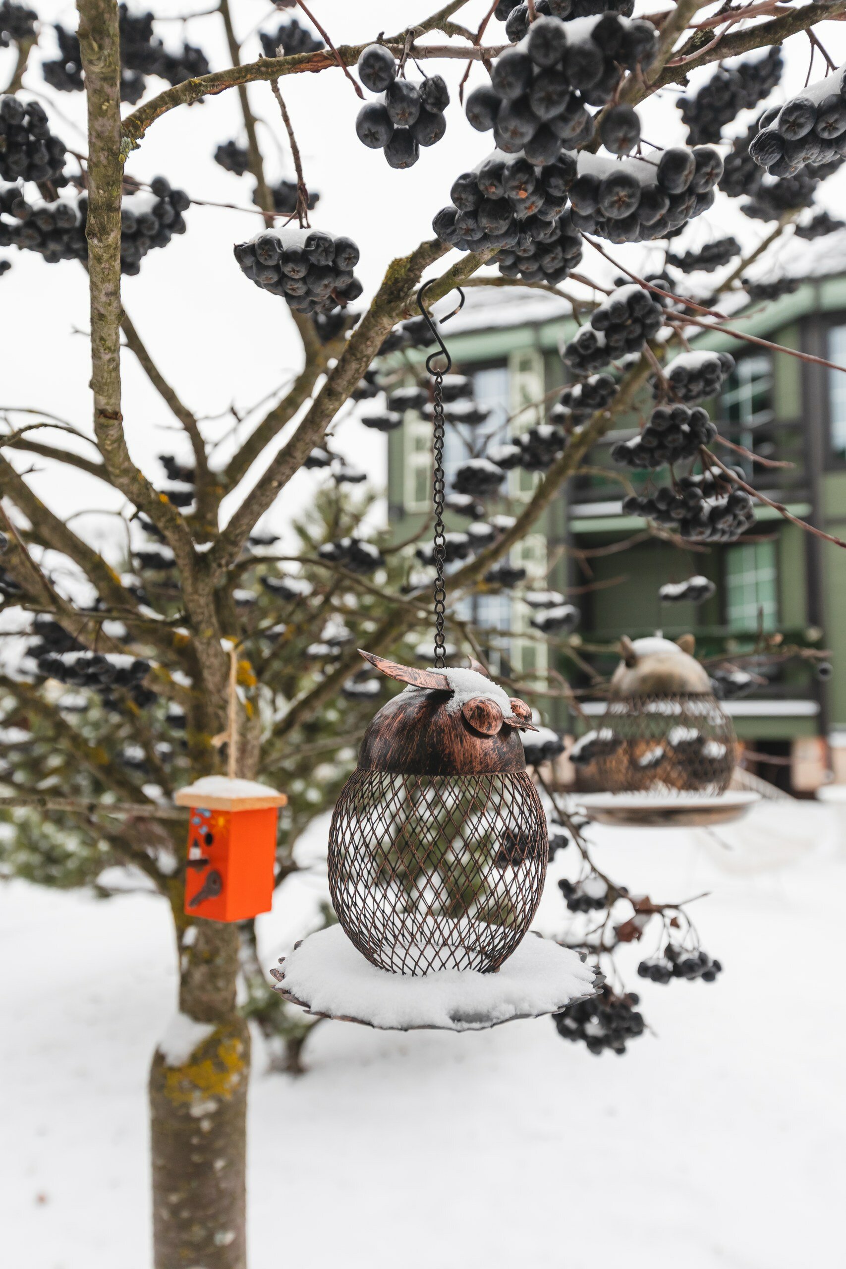 Фото Отель Зелёная Сова