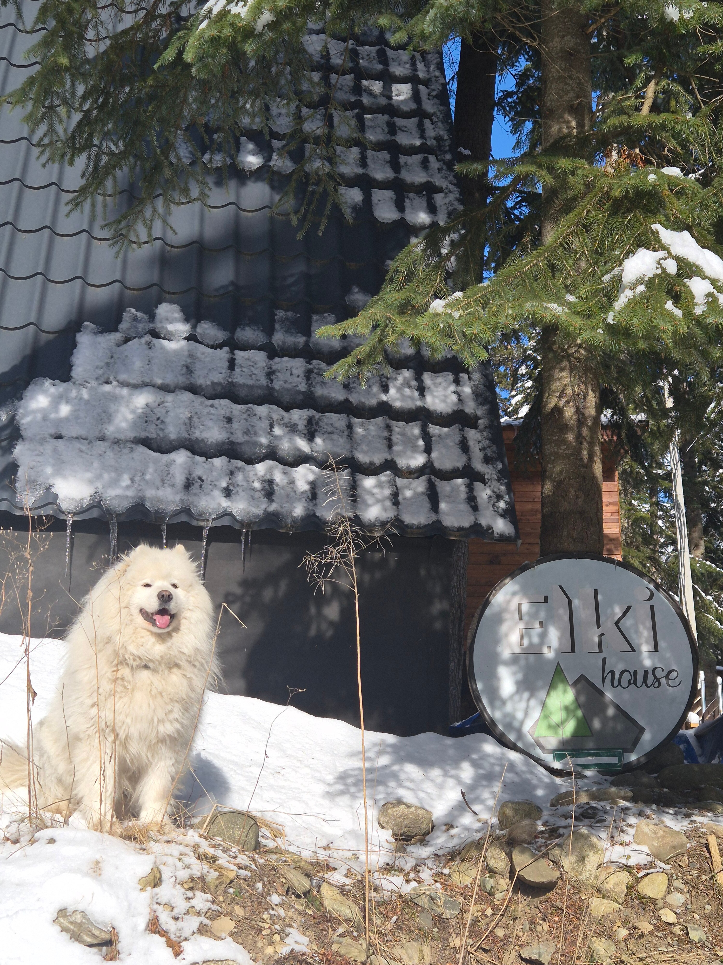 Фото Ёлки House